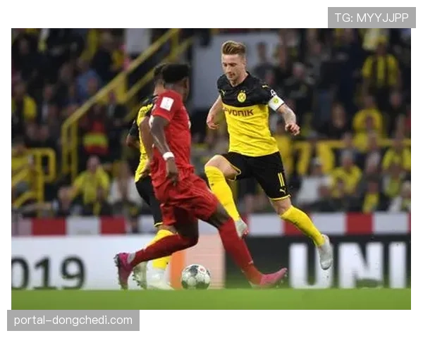 德甲五家俱乐部长期深耕中国市场，数量超过其他欧洲联赛